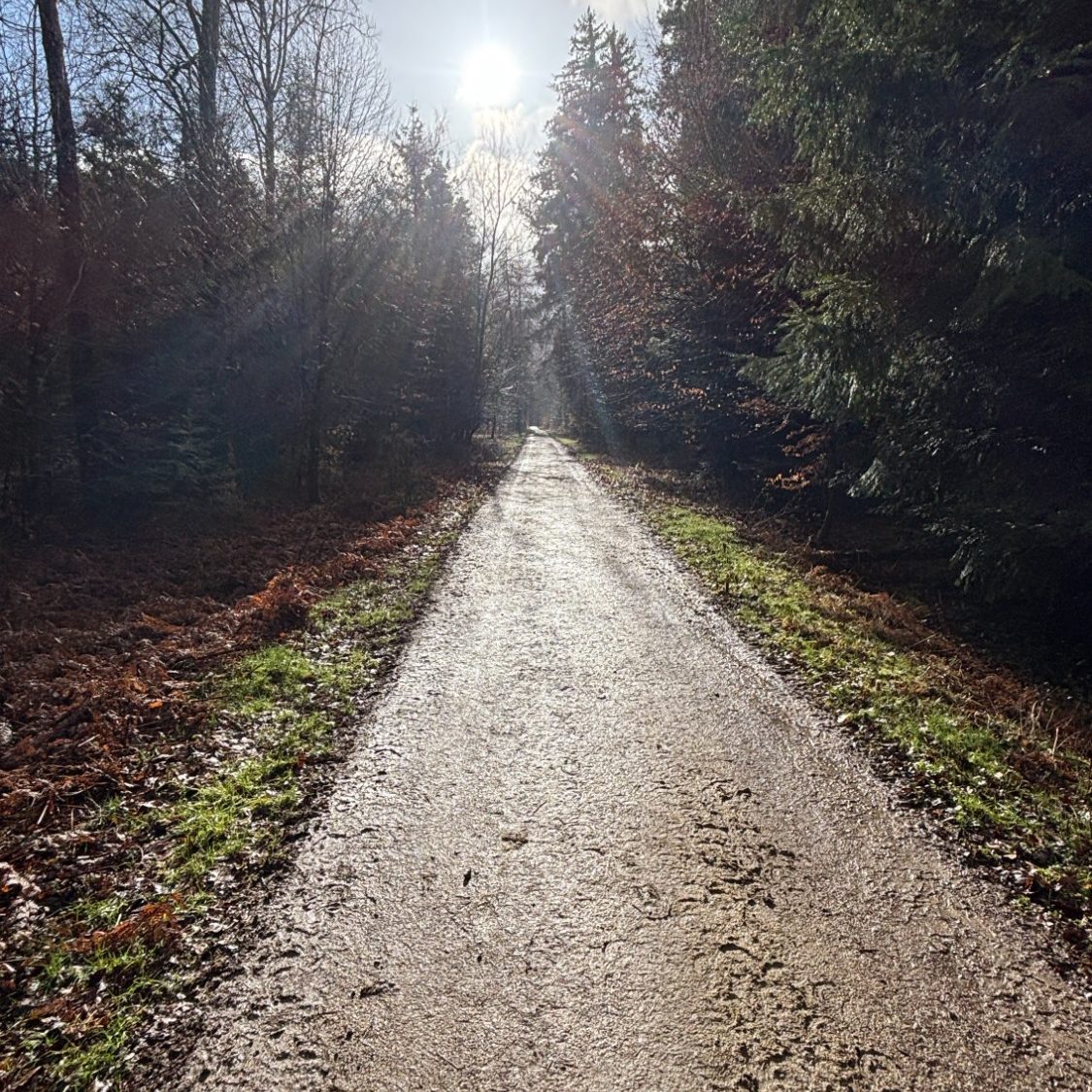 Waldspaziergang Waldspaziergang am Bach